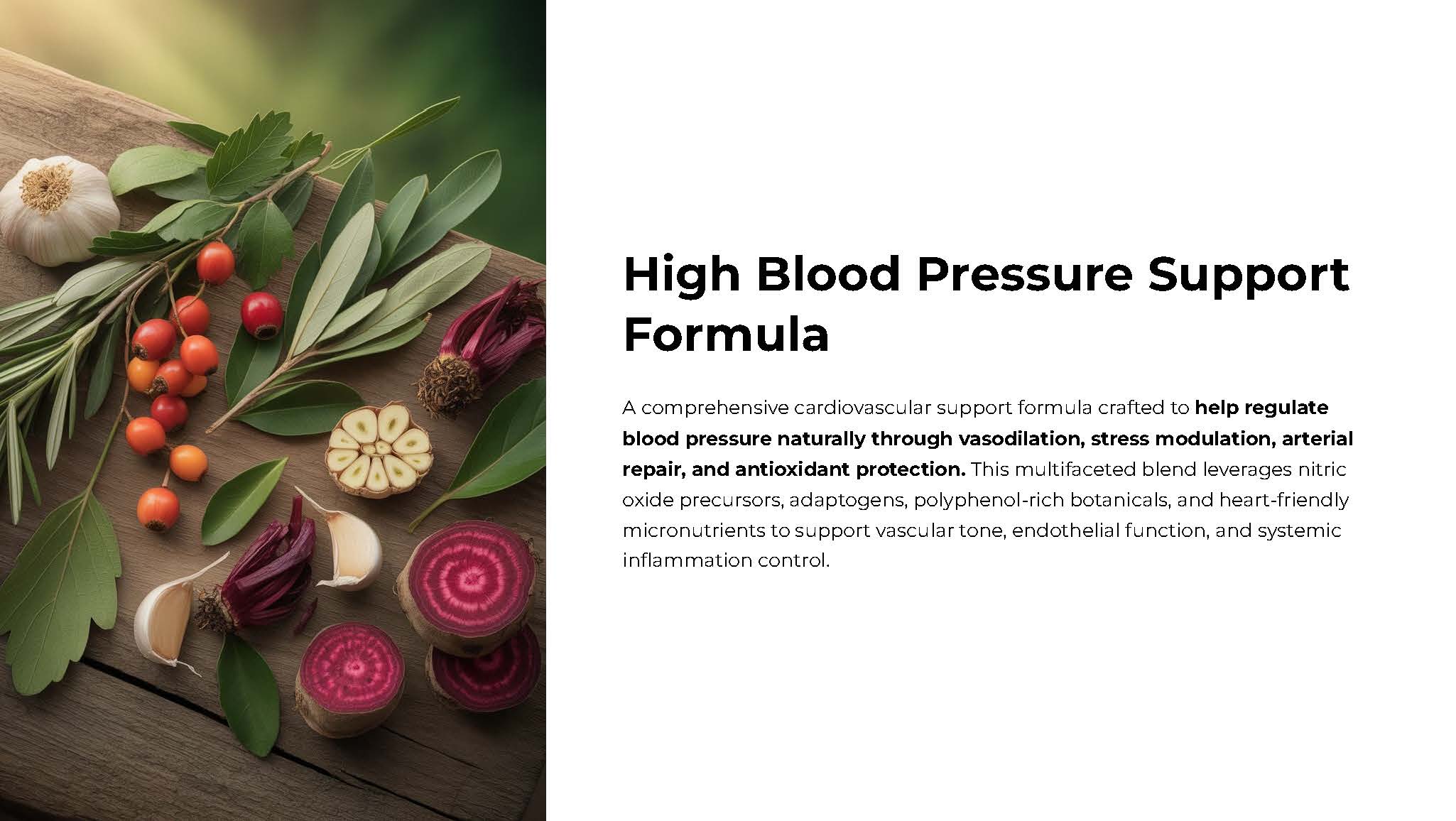 High Blood Pressure Support - Image 2