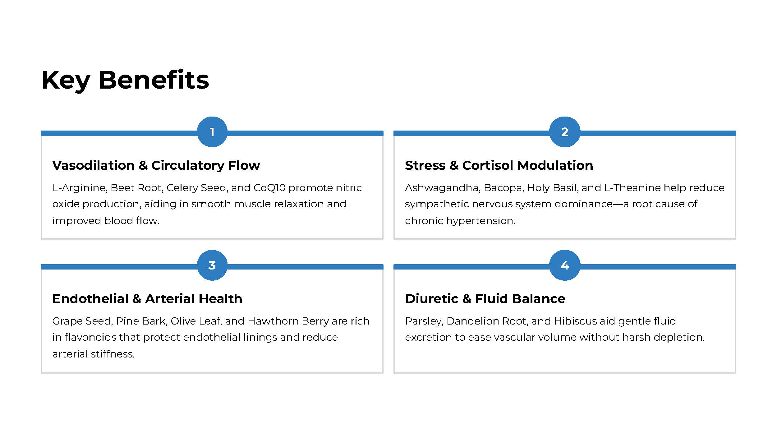 High Blood Pressure Support - Image 3