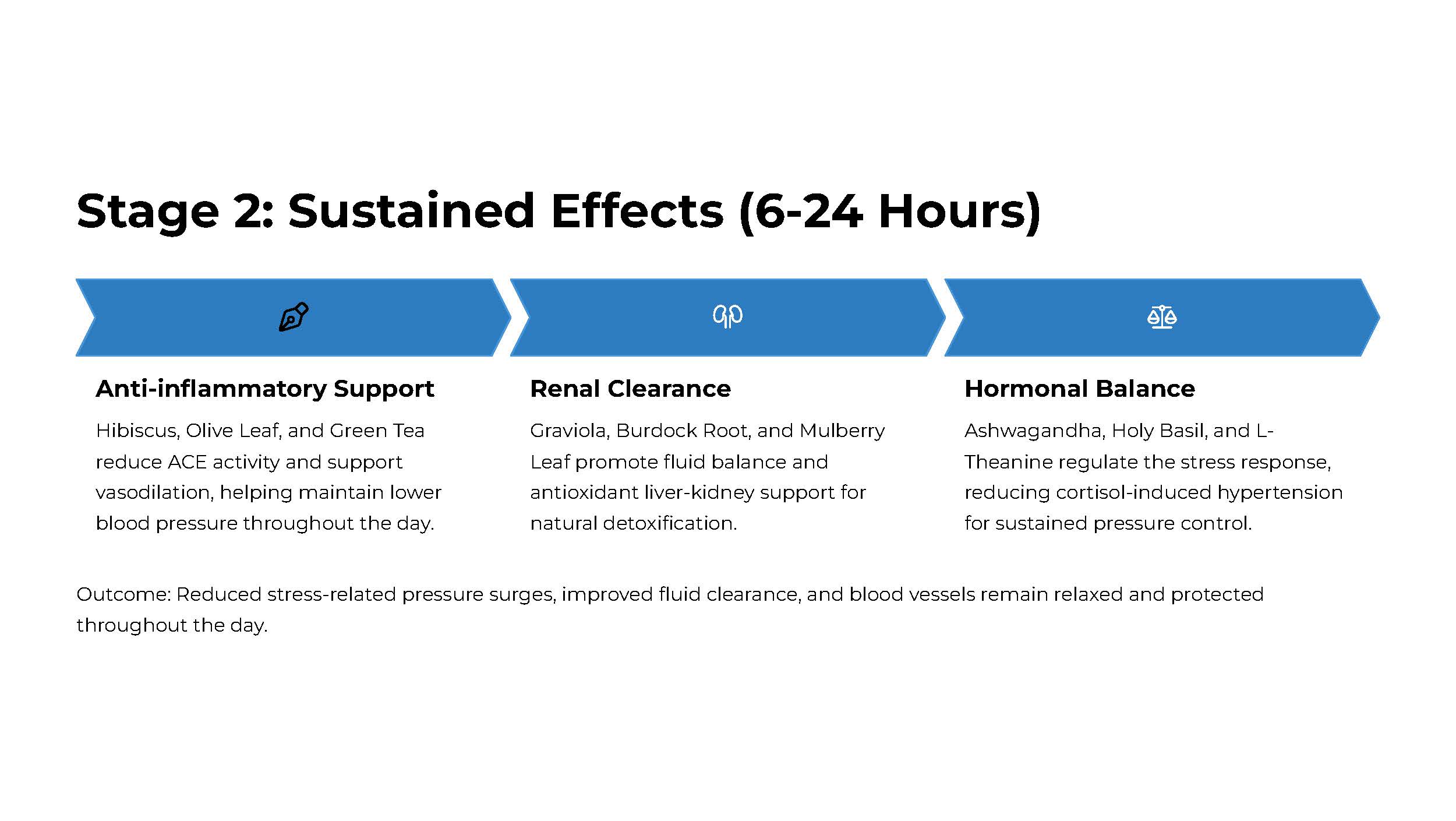 High Blood Pressure Support - Image 6