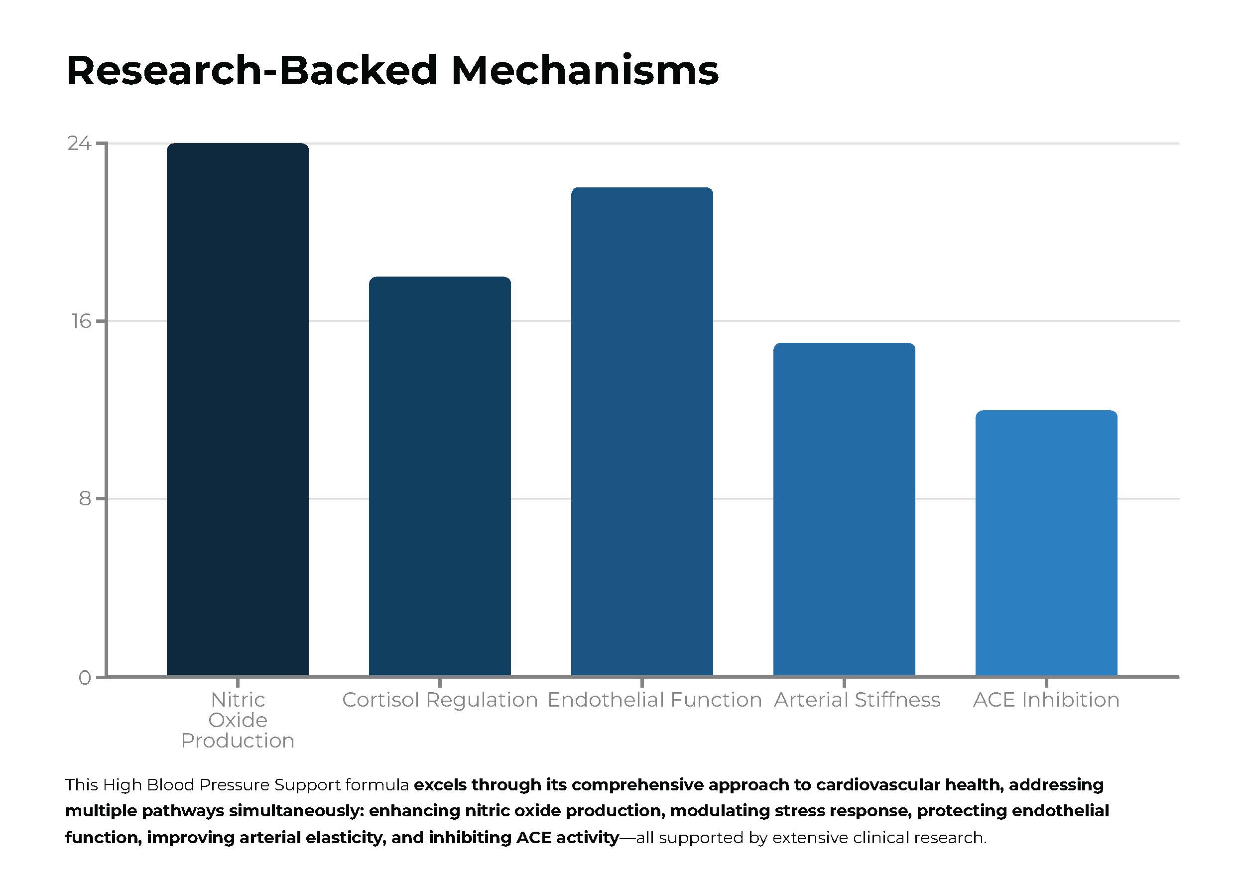 High Blood Pressure Support - Image 9