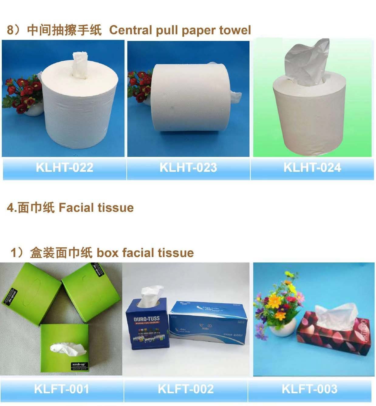 Household Paper Products and Toilet Paper - Image 5