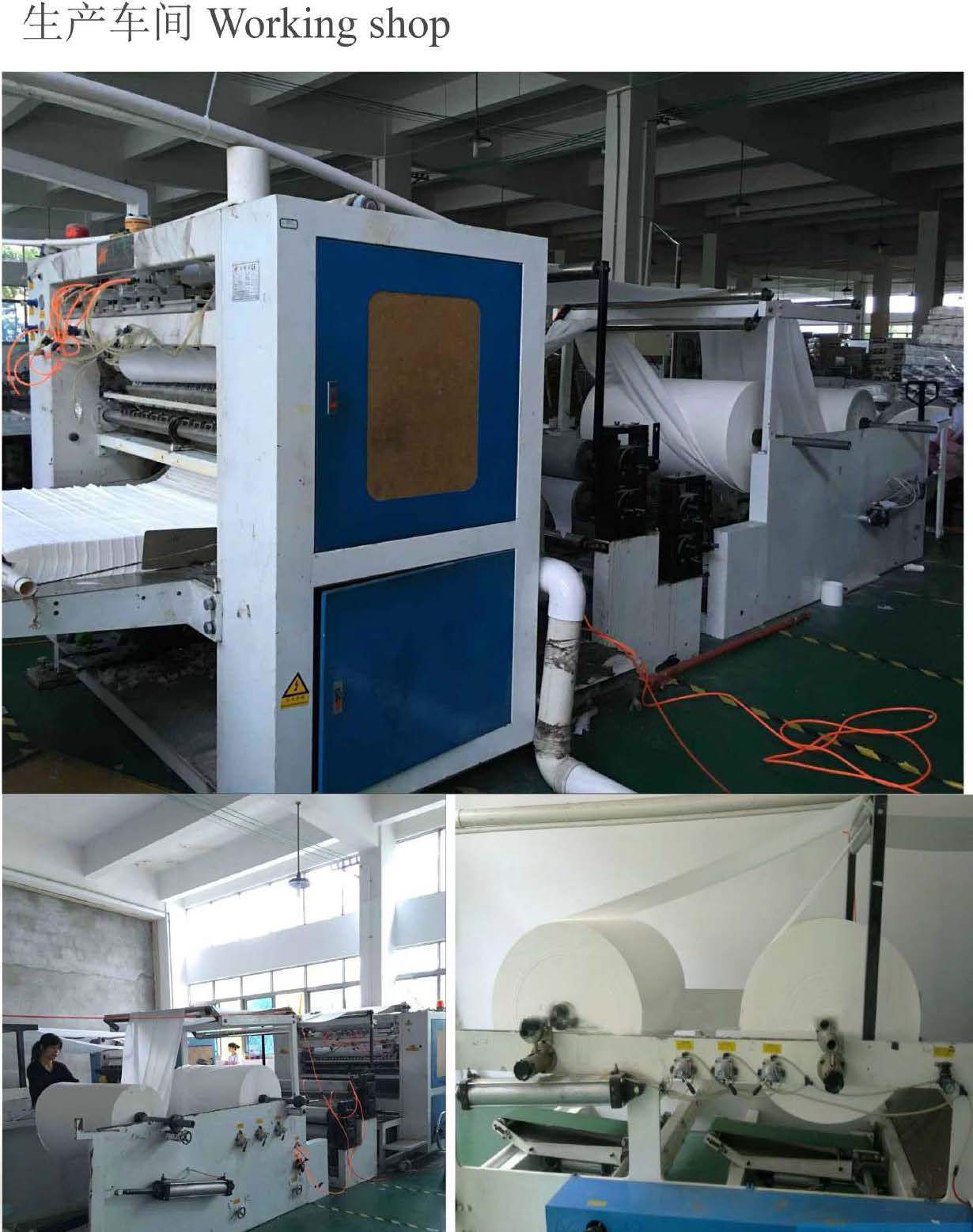 Household Paper Products and Toilet Paper - Image 3