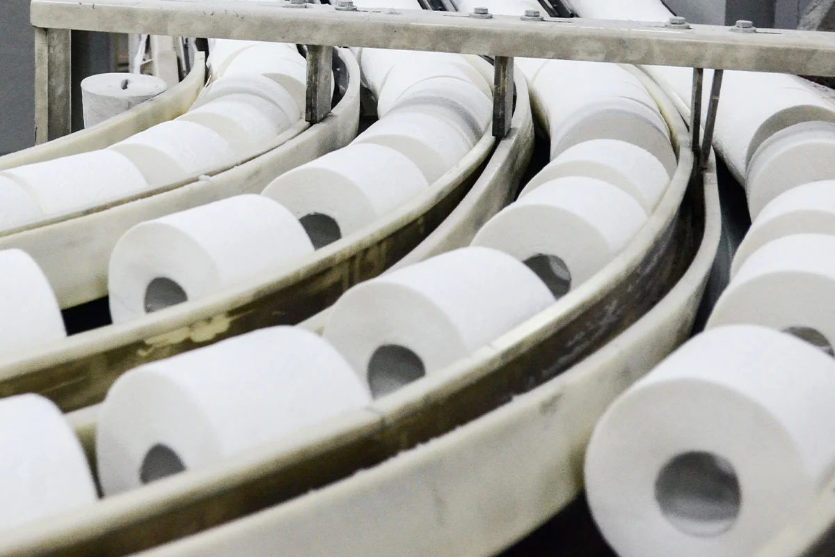 Household Paper Products and Toilet Paper - Image 2