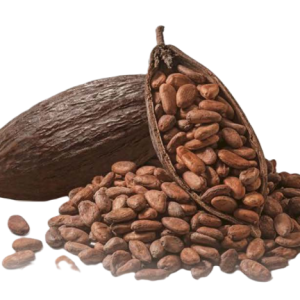 Cacao Beans