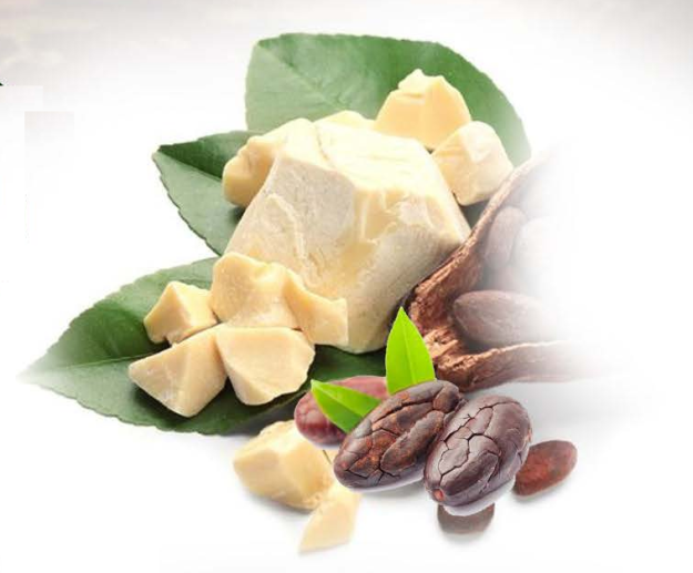 Cacao Butter