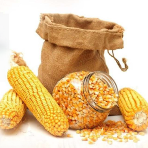 Yellow Dried Corn